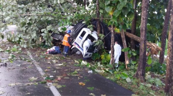 falleció conductor de camión al chocar contra árbol