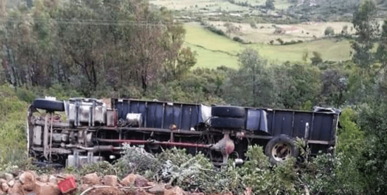 Camión sufre volcamiento llevando ganado