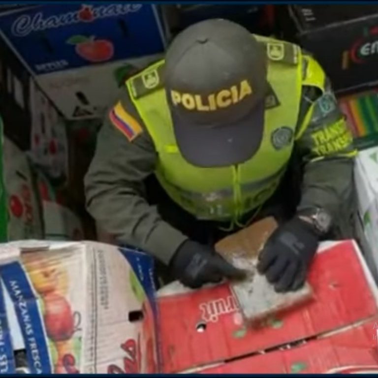 decomisan marihuana 
